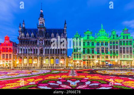 Brüssel, Belgien - 17. August 2018: Grand Place während Blütenteppich Festival. Das Thema dieses Jahres war Mexiko. Stockfoto