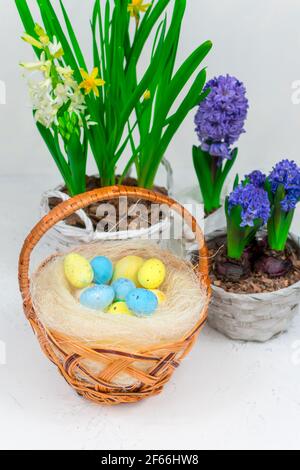 Weidenkorb mit Wachteleiern auf einem Hintergrund aus gelben Narzissen und blauen Hyazinthen auf einem weißen Tisch. Nahaufnahme. Osterfeiertagskonzept. Stockfoto