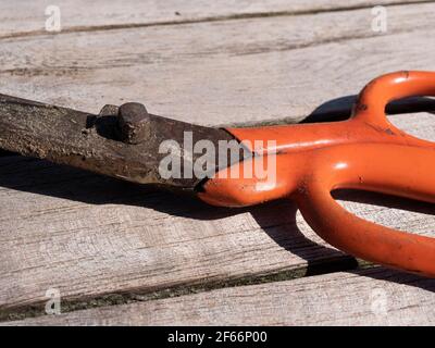 Eine alte verwitterte orange rostige Schere Stockfoto