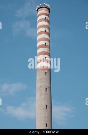 Alte Ziegelfabrik Schornstein aufgegeben Struktur Varedo, Monza Brianza, Lombardei Italien Stockfoto