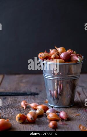 Die Zwiebeln im kleinen Eimer, den Garten Stockfoto