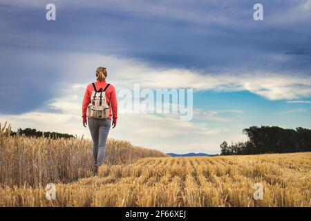 Wanderfrau auf Reise auf dem Land. Weibliche Backpacker zu Fuß durch Weizenfeld. Dramatischer Himmel über der ländlichen Szene im Sommer Stockfoto