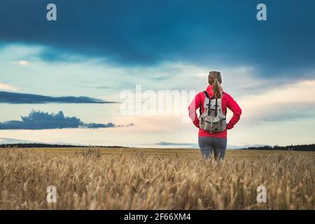 Wanderer mit Blick auf die wunderschöne Wolkenlandschaft über den Horizont in der ländlichen Szene. Frau mit Rucksack genießen Reise durch Weizenfeld im Sommer Stockfoto