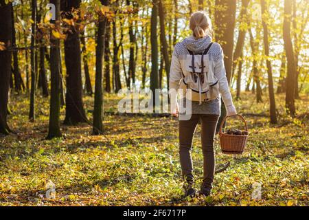 Frau mit Pilzen im Weidenkorb im Herbstwald. Pflücken von essbaren Pilzen in der Natur. Stockfoto