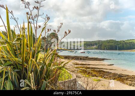 Malerische Küste des Dorfes St. Mawes, Cornwall, England, Großbritannien Stockfoto