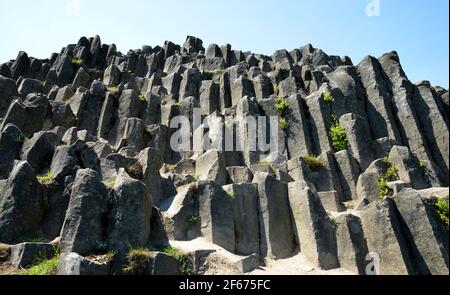 Basaltsäulen in Felsformation. Nationales Naturdenkmal von Panska Skala bei Kamenicky Senov in der Tschechischen Republik. Stockfoto