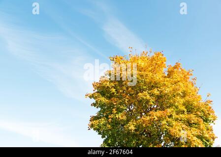 Warmes und sonniges Wetter im Park Stockfoto