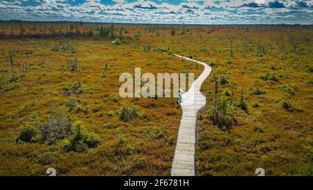 Blick auf La Tourbiere oder den Peat Moor Trail, Teil des KOUCHIBOUGUAC National Park, New Brunswick, Kanada Stockfoto