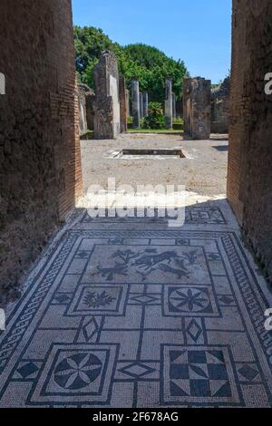 Der Mosaikboden des Vestibulums (Eingang), der zum Atrium und Tablinium (Esszimmer) des Wildschweinhauses in Pompeji, Italien führt Stockfoto