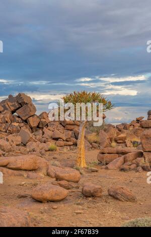 Massiver Dolerit Felsformationen auf Giant's Playground bei Keetmanshoop, Namibia, Afrika, Hintergrund wolkig, vertikal Stockfoto