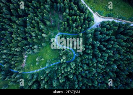 Blick von oben vom Drohnen des Pfades, der sich zwischen Nadelbäumen im Wald schlängelt. Schönheit der Giffre-Bergregion, Frankreich. Stockfoto