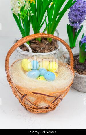 Weidenkorb mit Wachteleiern auf einem Hintergrund aus gelben Narzissen und blauen Hyazinthen auf einem weißen Tisch. Nahaufnahme. Osterfeiertagskonzept. Stockfoto