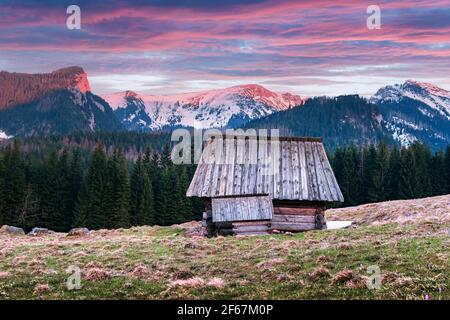 Alte Holzhütte im Frühjahr hohe Tatra Stockfoto