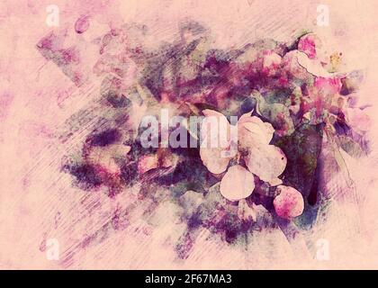 Weiche rosa Blüten von Apfelbaum blühen im Frühjahr, Foto Manipulation, digitale Aquarell-Effekt. Stockfoto