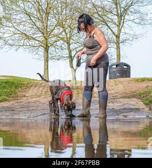 Kidderminster, Großbritannien. März 2021, 30th. Wetter in Großbritannien: Ungewöhnlich warme Temperaturen bringen heute deutlich mehr Hundewanderer in die lokalen Parks in Kidderminster und da Besitzer das Beste aus dem herrlichen Sonnenschein machen, brauchen ihre Hundefreunde an diesem außergewöhnlich warmen Märztag eine willkommene Abkühlung. Kredit: Lee Hudson/Alamy Live Nachrichten Stockfoto