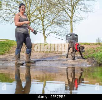 Kidderminster, Großbritannien. März 2021, 30th. Wetter in Großbritannien: Ungewöhnlich warme Temperaturen bringen heute deutlich mehr Hundewanderer in die lokalen Parks in Kidderminster und da Besitzer das Beste aus dem herrlichen Sonnenschein machen, brauchen ihre Hundefreunde an diesem außergewöhnlich warmen Märztag eine willkommene Abkühlung. Kredit: Lee Hudson/Alamy Live Nachrichten Stockfoto