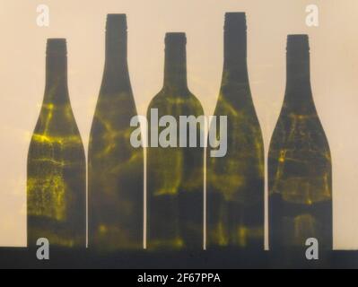 Farbige Schatten leerer Weinflaschen an einer Wand Stockfoto