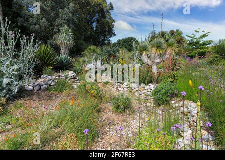 Der Desert Wash Garten im East Ruston Old Vicarage Garden, East Ruston, Norfolk, England, Großbritannien Stockfoto