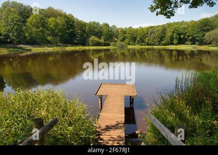 Blick auf den Kratersee von Windsborn in Rheinland-Pfalz Stockfoto