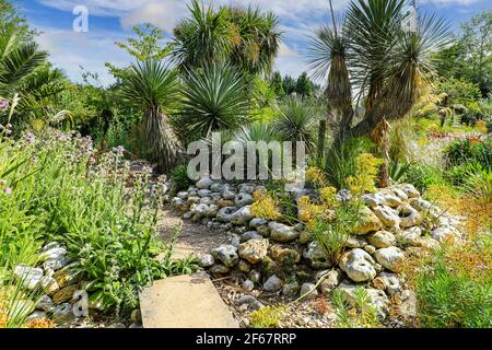 Der Desert Wash Garten im East Ruston Old Vicarage Garden, East Ruston, Norfolk, England, Großbritannien Stockfoto