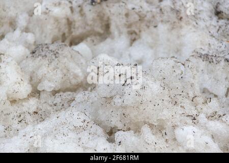 Früher Frühling schmutziger grauer geschmolzener Schnee mit Sandmuster Textur Nahaufnahme Grunge Hintergrund Stockfoto