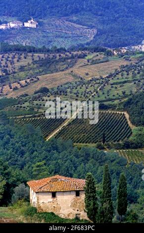 Toskanisches Bauernhaus in landwirtschaftlicher Landschaft, Italien Stockfoto