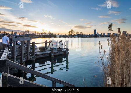 Wien, Wien: Junge Leute auf einer Plattform bei einer Party über dem Ochsenkelsee Alte Donau bei feurigem Sonnenuntergang, Gebäude der Donaucity, DC Tower 1, Coro Stockfoto