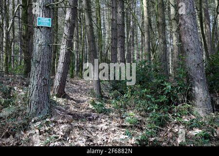 Private Waldgebiete in Großbritannien Stockfoto