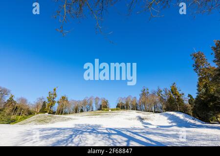 Das HangAmphitheater im Claremont Landscape Garden bei Esher, Surrey, Südostengland an einem verschneiten Wintertag mit Baumschatten Stockfoto