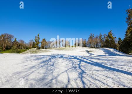 Das HangAmphitheater im Claremont Landscape Garden bei Esher, Surrey, Südostengland an einem verschneiten Wintertag mit Baumschatten Stockfoto