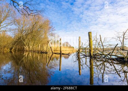 Blick über Frensham Little Pond, in der Nähe von Farnham, Surrey, einem landschaftlichen Schönheits- und Erholungsgebiet, an einem sonnigen Tag im späten Winter bis zum frühen Frühling Stockfoto