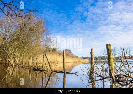 Blick über Frensham Little Pond, in der Nähe von Farnham, Surrey, einem landschaftlichen Schönheits- und Erholungsgebiet, an einem sonnigen Tag im späten Winter bis zum frühen Frühling Stockfoto