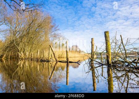 Blick über Frensham Little Pond, in der Nähe von Farnham, Surrey, einem landschaftlichen Schönheits- und Erholungsgebiet, an einem sonnigen Tag im späten Winter bis zum frühen Frühling Stockfoto