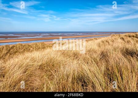 Ein leerer Holme-next-the-Sea Strand, North Norfolk. Mit Marrammgras bedeckte Dünen, Ammophila arenaria. Stockfoto