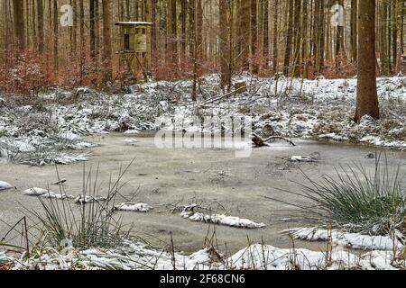 Waldszene im Winter mit einem Jagdturm. Im Vordergrund ist ein kleiner gefrorener Teich Stockfoto