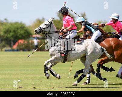 DUNDAS VS HAWAII POLO LIFE 2021 DAMEN POLO CHAMPIONSHIPS, in Port Mayaca, Florida, 10. März 2021. Team Dundas: Nina Clarkin, Hope Arelano, Sarah Siegel Magness Team Hawaii Polo Leben: Delores Onetto, Pamela Flanagan, Mia Cambiaso, Hazel Jackson. Foto von Jennifer Graylock-Graylock.com 917-519-7666 Stockfoto