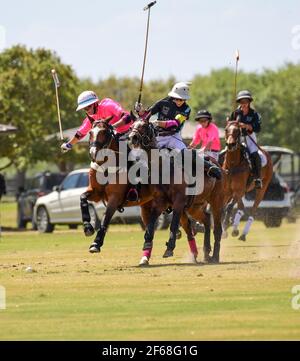 DUNDAS VS HAWAII POLO LIFE 2021 DAMEN POLO CHAMPIONSHIPS, in Port Mayaca, Florida, 10. März 2021. Team Dundas: Nina Clarkin, Hope Arelano, Sarah Siegel Magness Team Hawaii Polo Leben: Delores Onetto, Pamela Flanagan, Mia Cambiaso, Hazel Jackson. Foto von Jennifer Graylock-Graylock.com 917-519-7666 Stockfoto