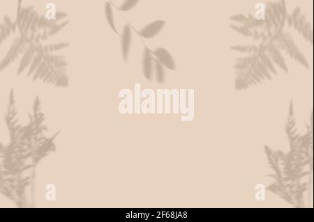 Kreative Sommer Hintergrund mit grünen Pflanzen Blatt Schatten auf beige Sandfarbe Hintergrund gemacht. Natur minimal abstrakt flach lag mit Kopierraum. Stockfoto