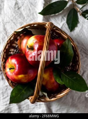 Gewebter Korb auf einem Küchentisch mit Tuch darauf liegend, mit frisch gepflückten, saftigen, reifen roten Äpfeln. Stockfoto
