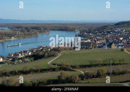 Blick hinunter auf das kleine Dorf Nierstein mit Kirche, rhein und Weinbergen bei Tageslicht im Frühjahr Stockfoto