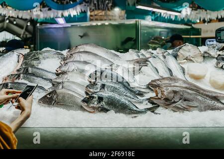 Hände des Mädchens mit Telefon, Foto von verschiedenen Meeresfischen auf der offenen Theke von Meeresfrüchtemarkt Stockfoto