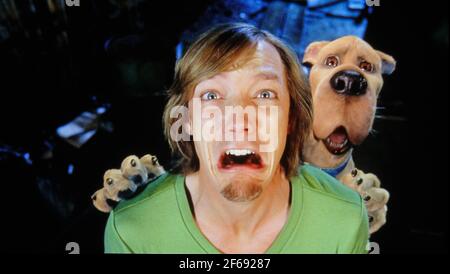 Matthew Lillard, 'Scooby-Doo 2: Monster Unleashed' (2004). Foto: Warner Bros./THA. Dateireferenz # 34082-1503THA Stockfoto