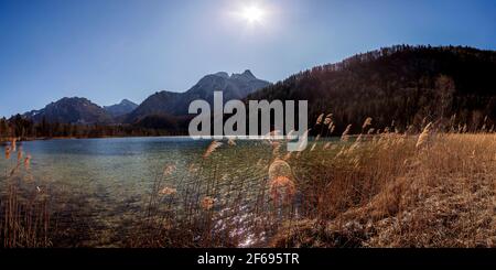 Panorama des Schwansees, bei Füssen in Bayern, Deutschland im Frühling Stockfoto