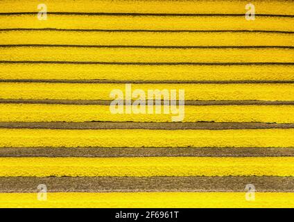 Gelbes Wärmedämmmaterial, Textur des euroblocks in einem Baumarkt, Baumaterial. Stockfoto