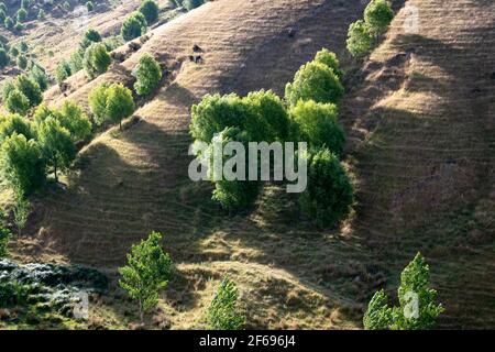 Ackerland auf steilen Hügeln in der Nähe von Castlepoint, Wairarapa, Nordinsel, Neuseeland Stockfoto