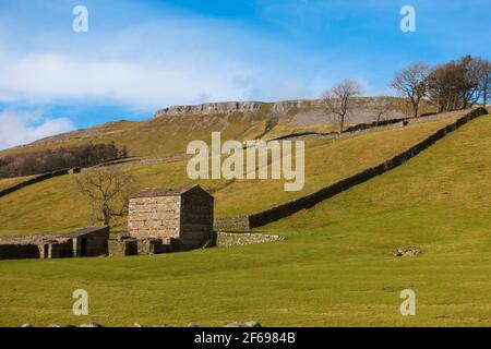 Steinerne Scheune in der Nähe von Sedbusk, Wensleydale, Yorkshire Dales National Park Stockfoto