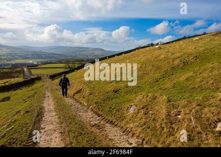 Upper Wensleydale von Askrigg Common, Yorkshire Dales National Park Stockfoto