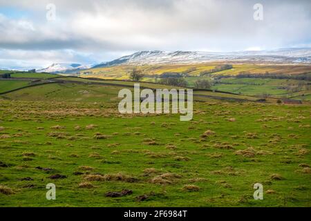 Steinerne Scheune in der Nähe von Sedbusk, Wensleydale, Yorkshire Dales National Park Stockfoto