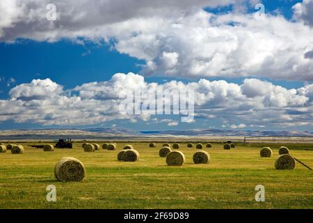 Heu in Feld gerollt, auf Ranch aus RT. 191 in der Nähe von Eden, Wyoming, USA Stockfoto