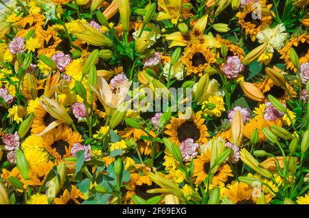 Sommer blühende bunte Blumen Wand Hintergrund. Bündel von schönen gemischten Blumen. Selektiver Fokus Stockfoto